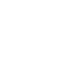 Rebel Flower
